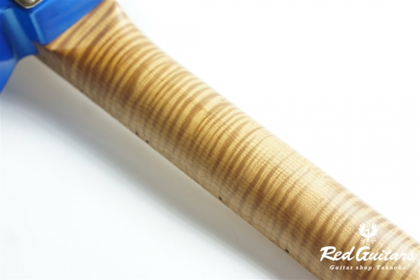 XTC-1 Heavey Aged/Ash/Master Grade Neck